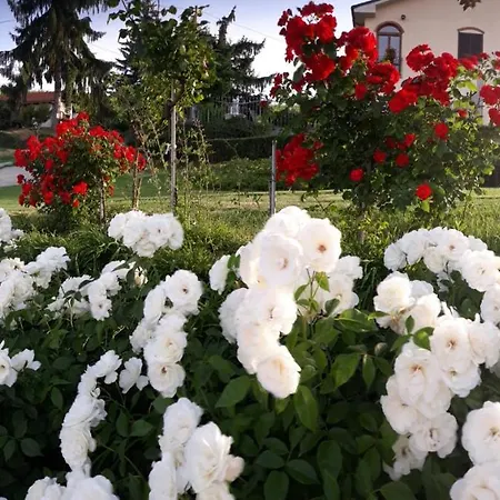 Летний дом Ca Du Ruja